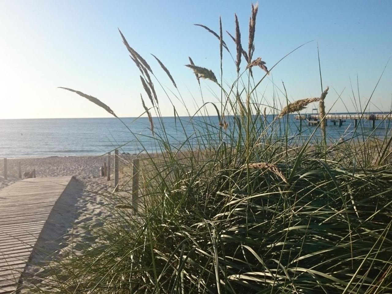 Holiday Home In Rerik Near The Baltic Sea מראה חיצוני תמונה